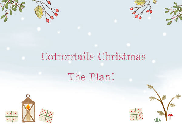 Christmas.... The plan!