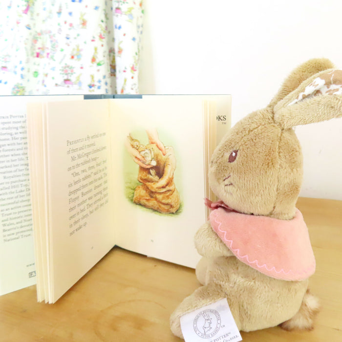 Beatrix Potter Baby Flopsy