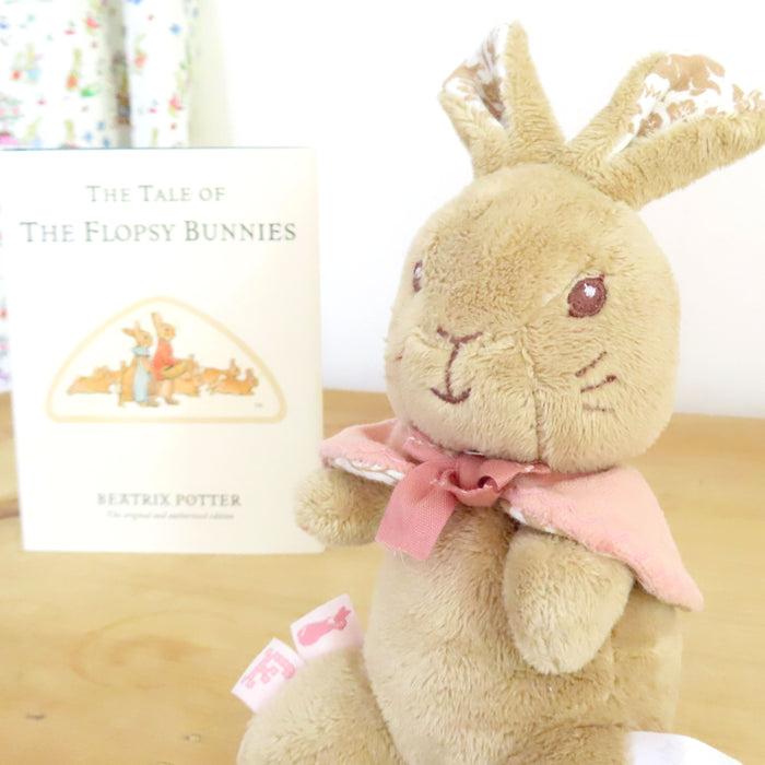 Beatrix Potter Baby Flopsy