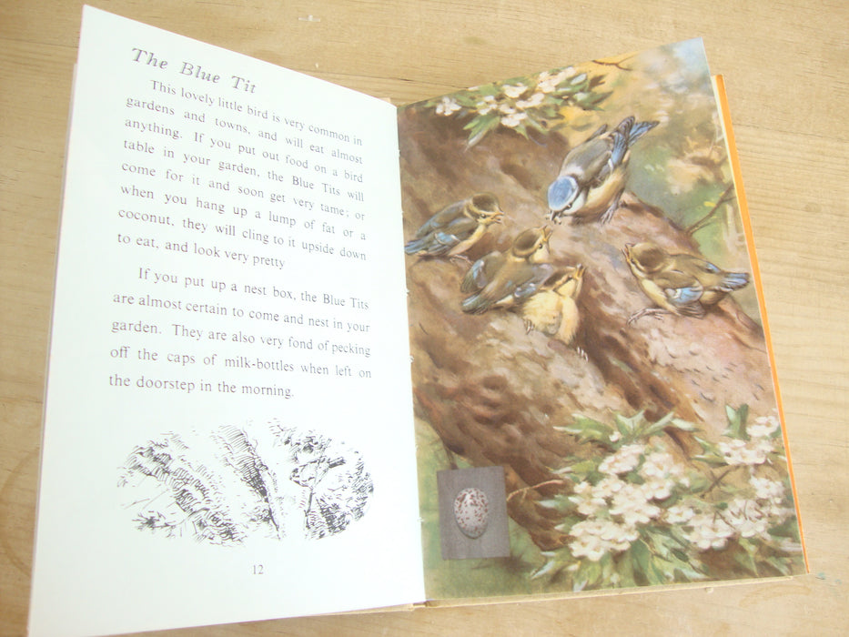 VINTAGE Ladybird -  British Birds & their nests (early edition)