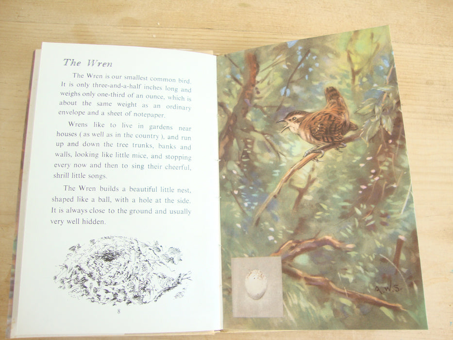 VINTAGE Ladybird -  British Birds & their nests (early edition)