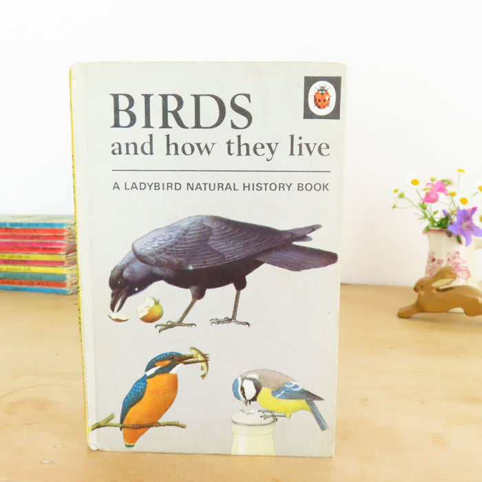 VINTAGE Ladybird book -  Birds and How They Live (1969)