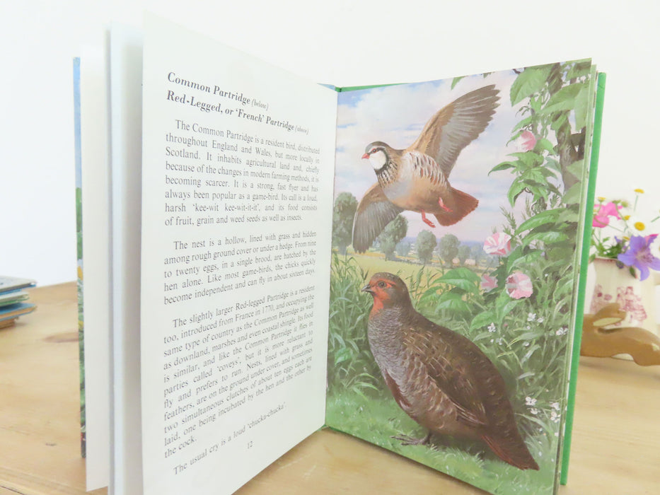 VINTAGE Ladybird book of Heath and Woodland Birds (1971)