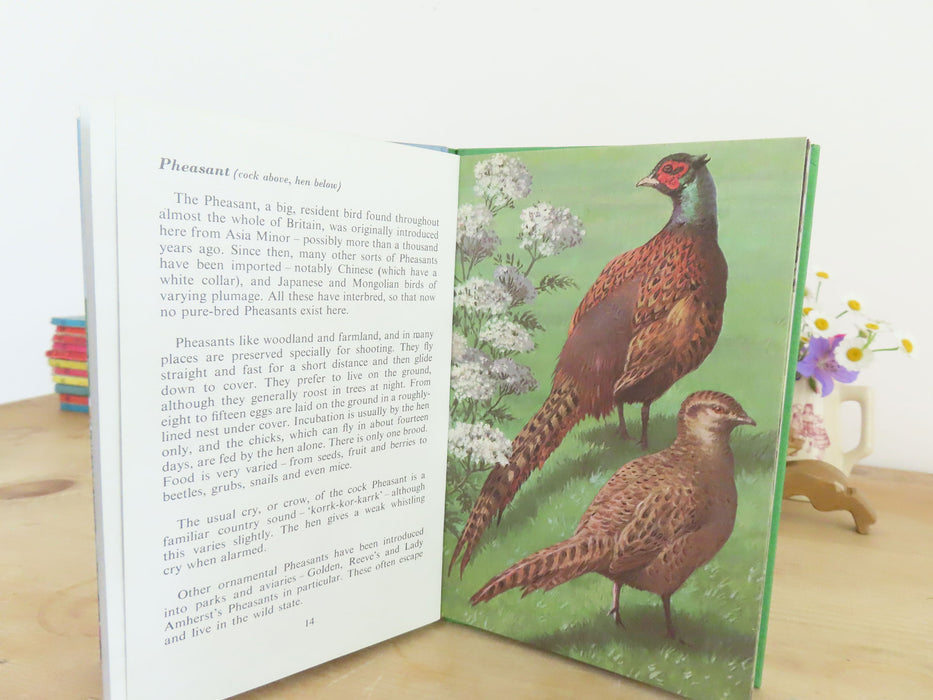 VINTAGE Ladybird book of Heath and Woodland Birds (1971)