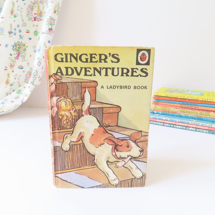 VINTAGE Ladybird book - Ginger's Adventures (1975)