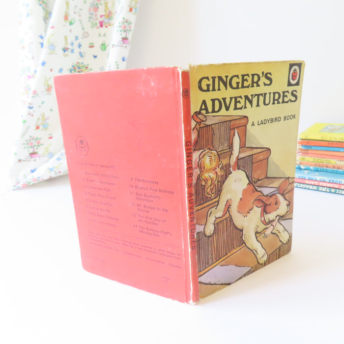 VINTAGE Ladybird book - Ginger's Adventures (1975)