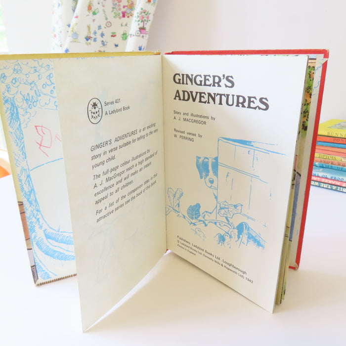 VINTAGE Ladybird book - Ginger's Adventures (1975)