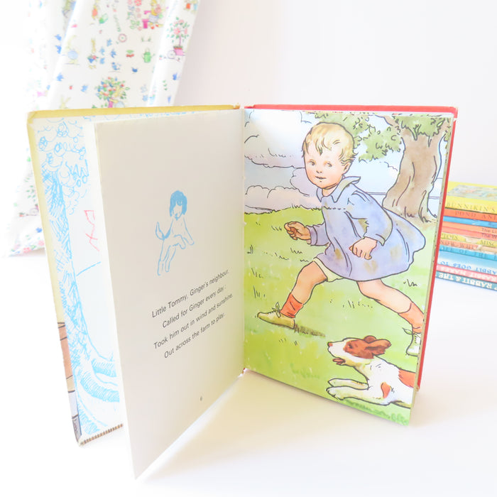 VINTAGE Ladybird book - Ginger's Adventures (1975)