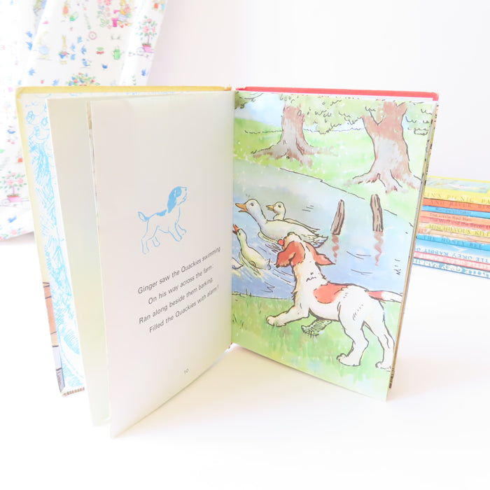 VINTAGE Ladybird book - Ginger's Adventures (1975)