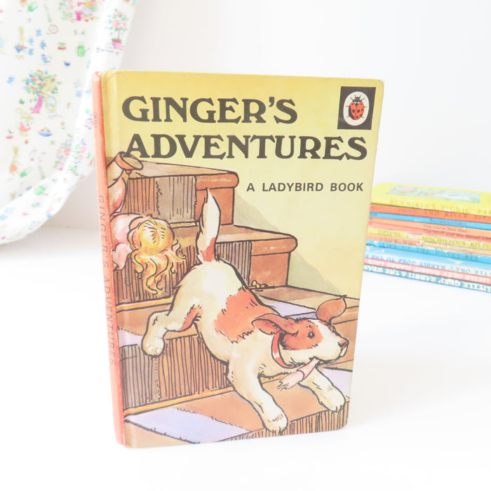 VINTAGE Ladybird book - Ginger's Adventures (1974)