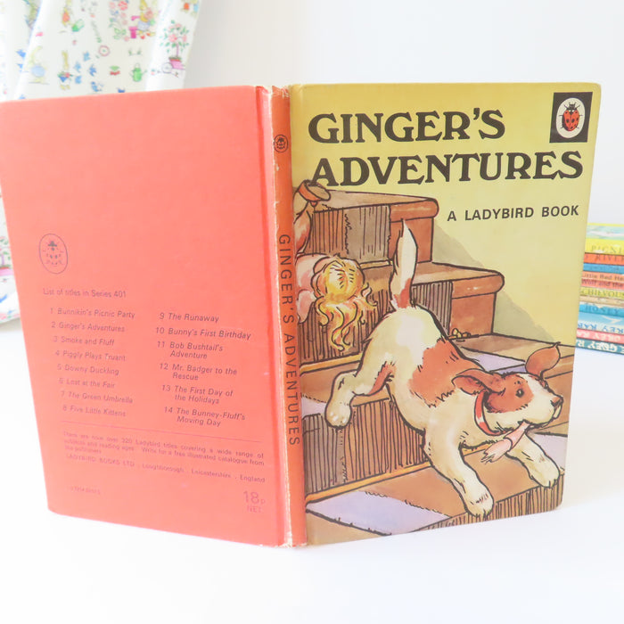 VINTAGE Ladybird book - Ginger's Adventures (1974)