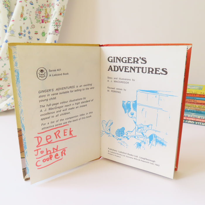 VINTAGE Ladybird book - Ginger's Adventures (1974)