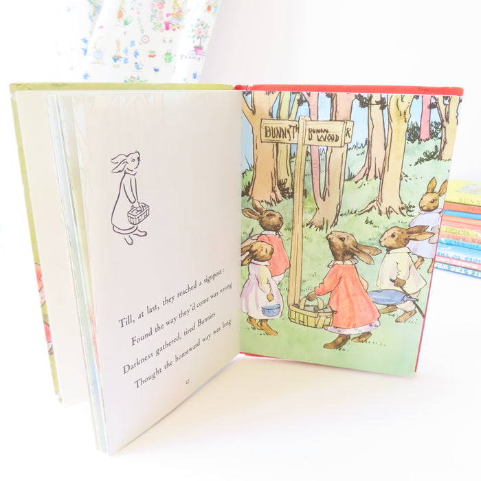 VINTAGE Ladybird book - Bunnikin's Picnic Party (late 1970s)