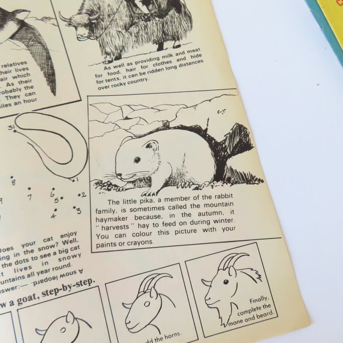 VINTAGE Twinkle magazine No. 781  'Ben the Rabbit' (Jan 8th 1983)