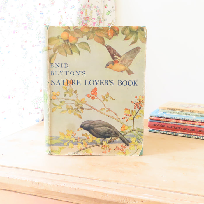 VINTAGE book -  Enid Blyton's Nature Lover's Book (1947)