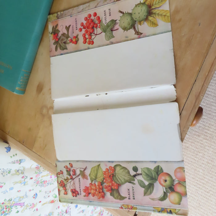 VINTAGE book -  Enid Blyton's Nature Lover's Book (1947)