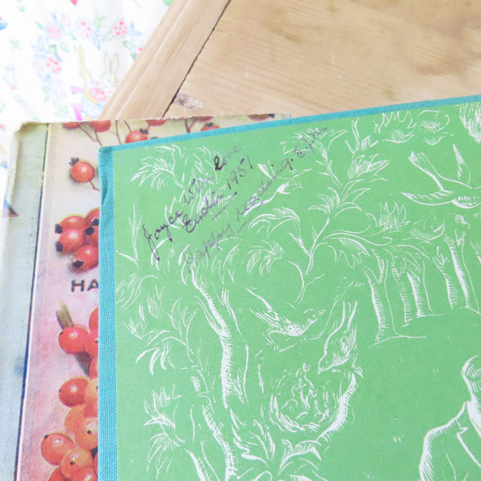 VINTAGE book -  Enid Blyton's Nature Lover's Book (1947)