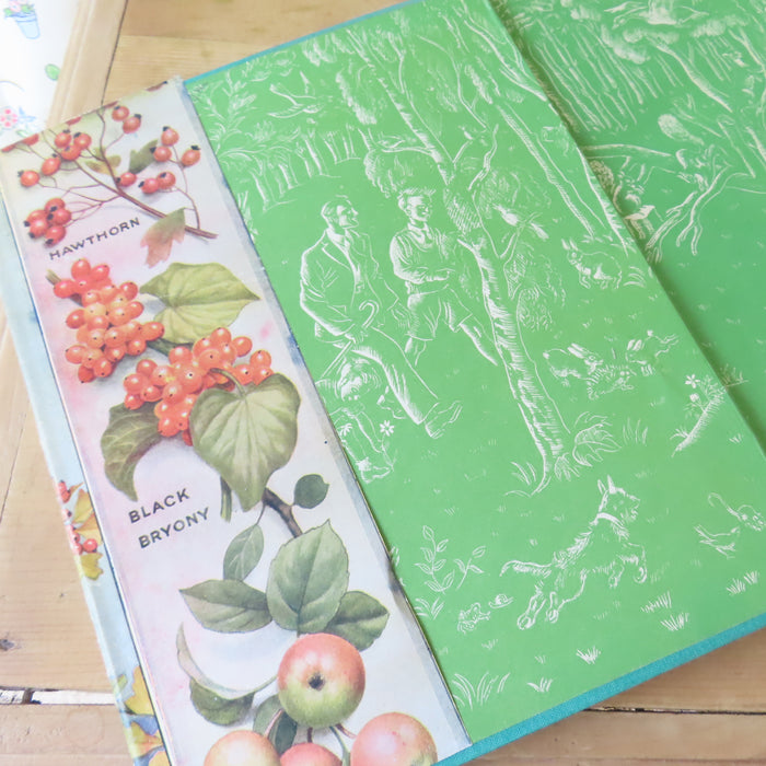 VINTAGE book -  Enid Blyton's Nature Lover's Book (1947)