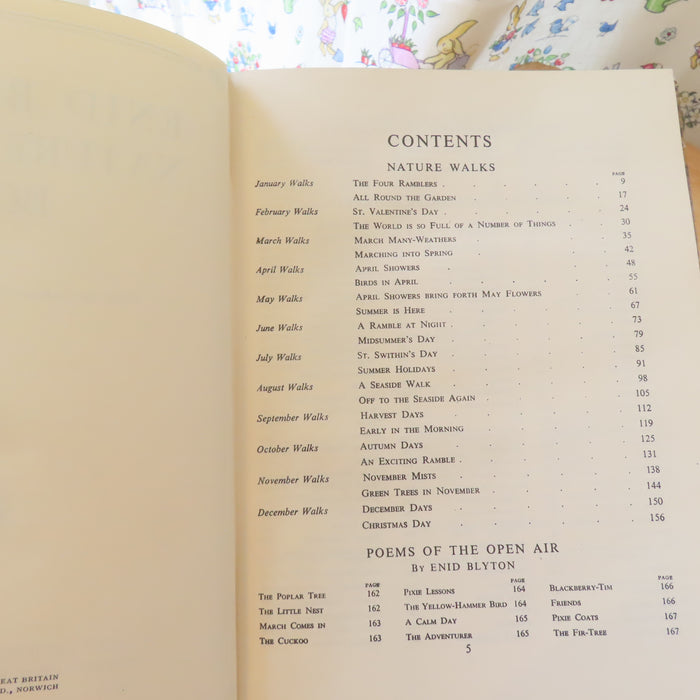 VINTAGE book -  Enid Blyton's Nature Lover's Book (1947)