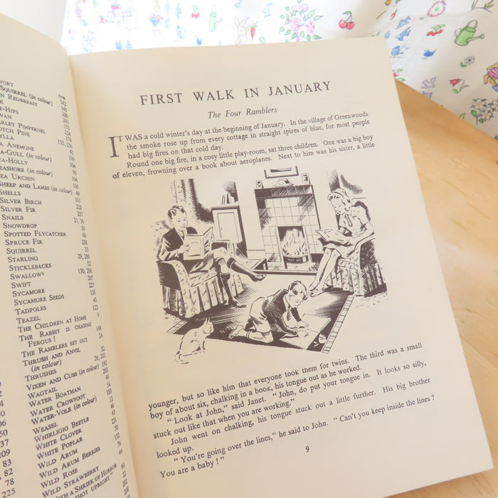 VINTAGE book -  Enid Blyton's Nature Lover's Book (1947)