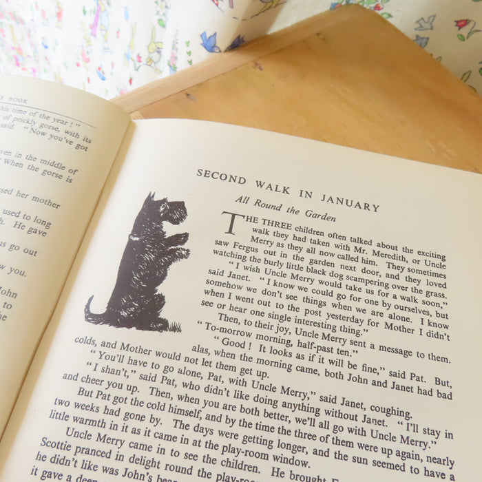 VINTAGE book -  Enid Blyton's Nature Lover's Book (1947)