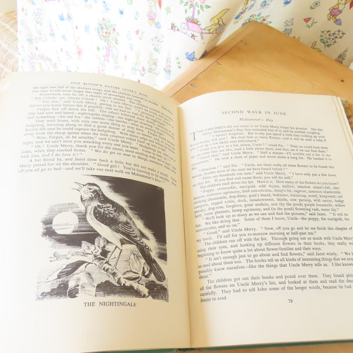 VINTAGE book -  Enid Blyton's Nature Lover's Book (1947)