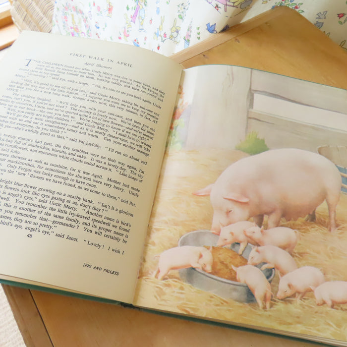 VINTAGE book -  Enid Blyton's Nature Lover's Book (1947)