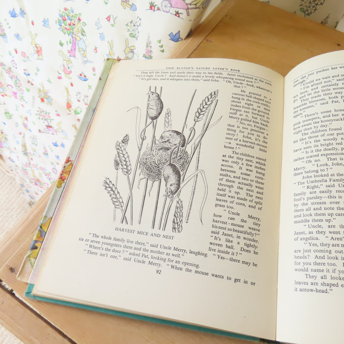 VINTAGE book -  Enid Blyton's Nature Lover's Book (1947)
