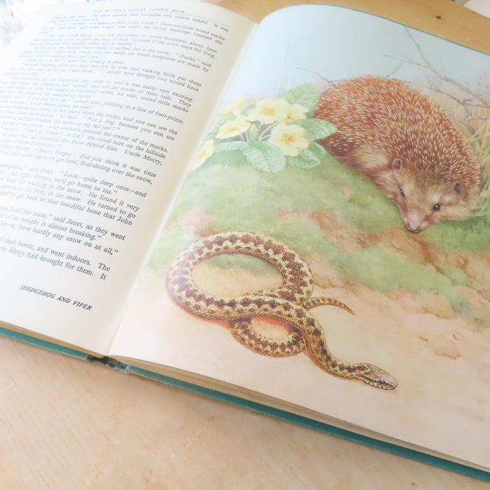 VINTAGE book -  Enid Blyton's Nature Lover's Book (1947)