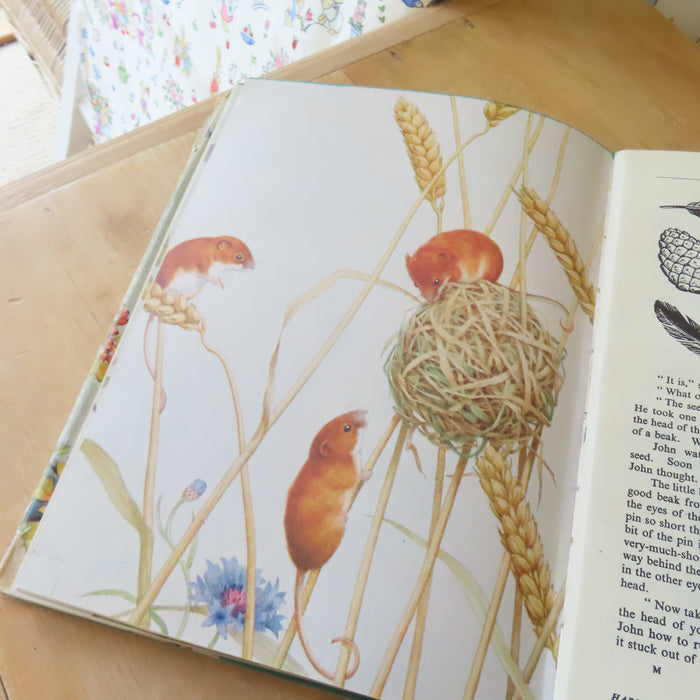 VINTAGE book -  Enid Blyton's Nature Lover's Book (1947)