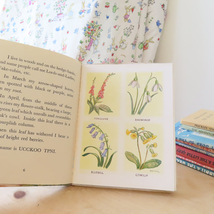 VINTAGE book -  The Puzzle Book of Wild Flowers (1949)