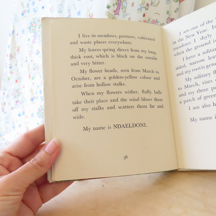 VINTAGE book -  The Puzzle Book of Wild Flowers (1949)