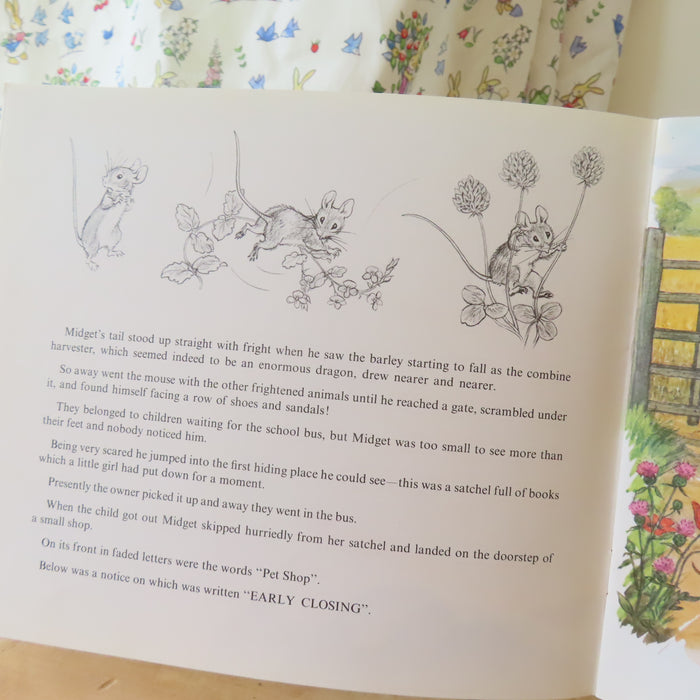 VINTAGE book -  Midget and the Pet Shop (1975)