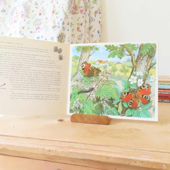 VINTAGE book -  Let's Look at Some Insects (1977)