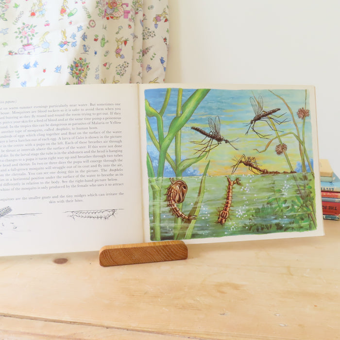 VINTAGE book -  Let's Look at Some Insects (1977)