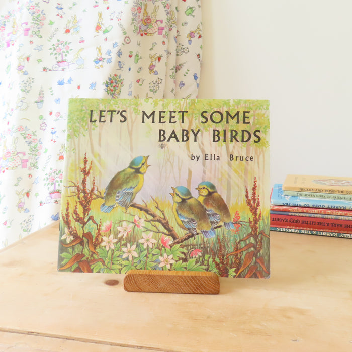 VINTAGE book -  Let's Meet Some Baby Birds (1969)
