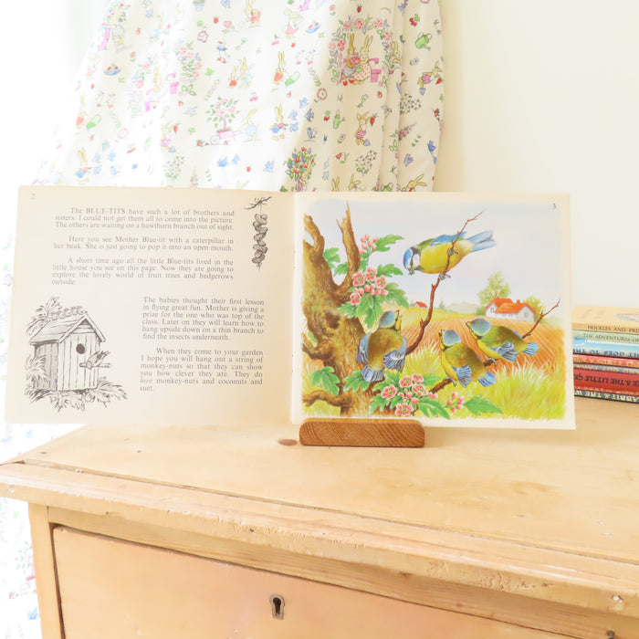 VINTAGE book -  Let's Meet Some Baby Birds (1969)
