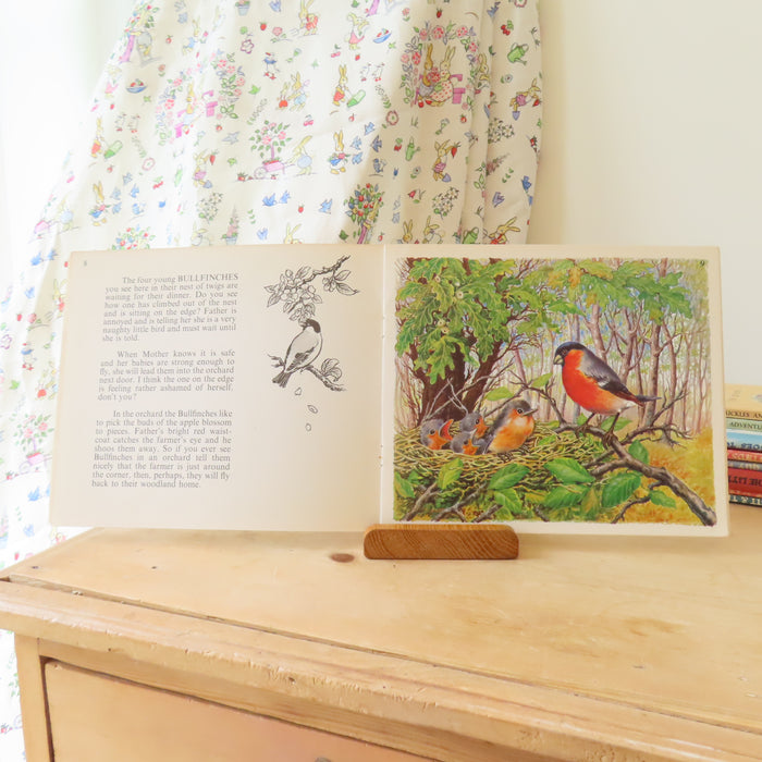 VINTAGE book -  Let's Meet Some Baby Birds (1969)