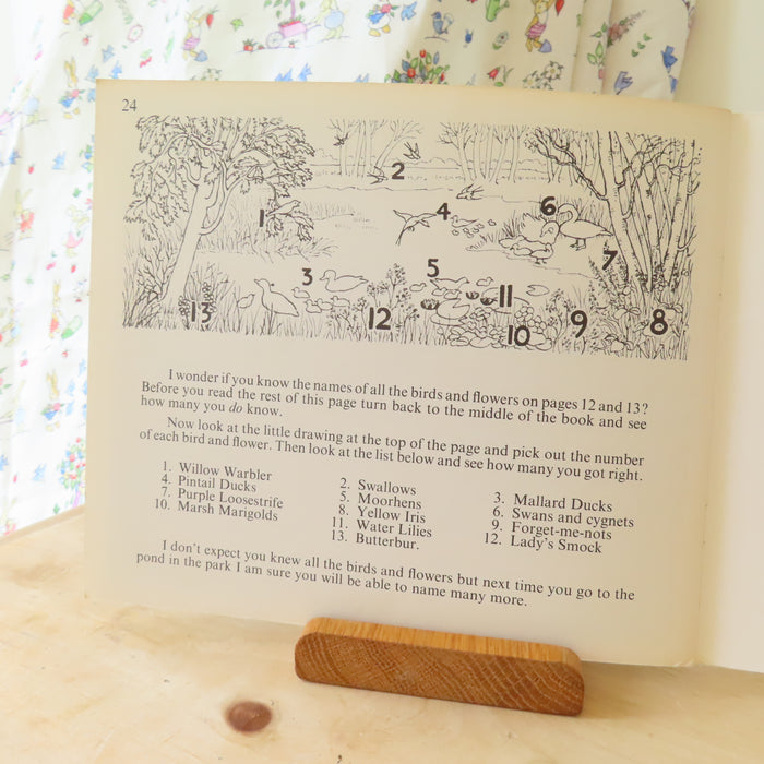VINTAGE book -  Let's Meet Some Baby Birds (1969)