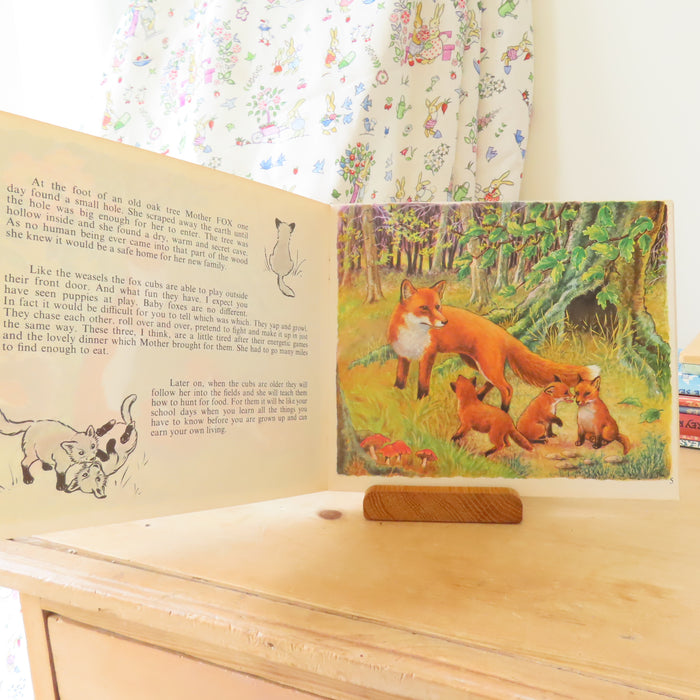 VINTAGE book -  Let's Meet Some BabyAnimals (1972)