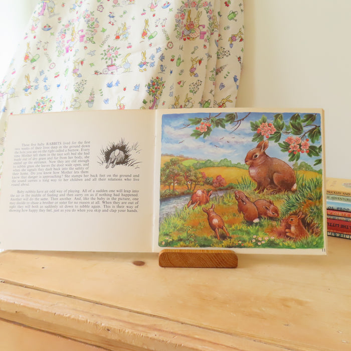 VINTAGE book -  Let's Meet Some BabyAnimals (1972)