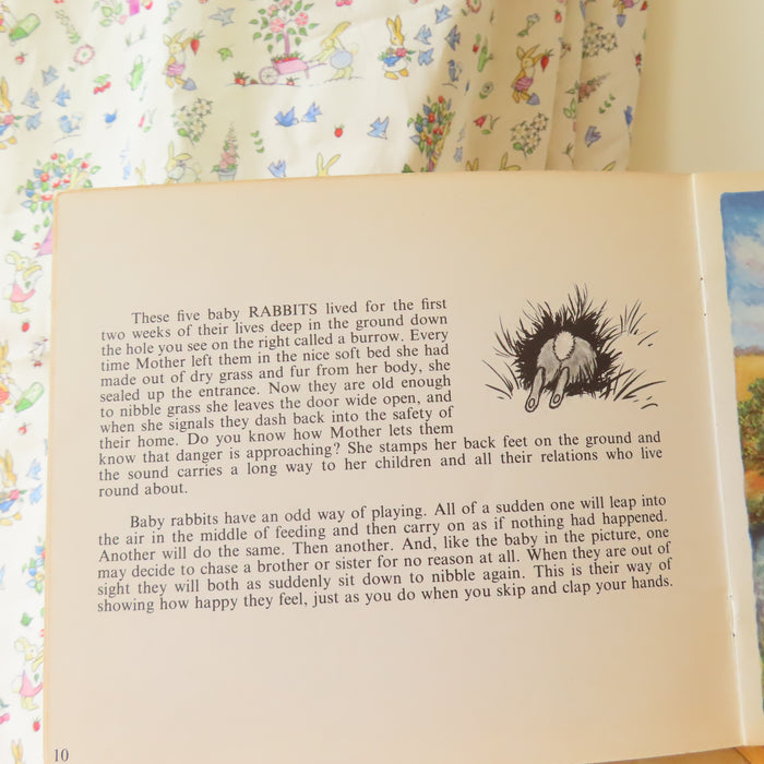 VINTAGE book -  Let's Meet Some BabyAnimals (1972)