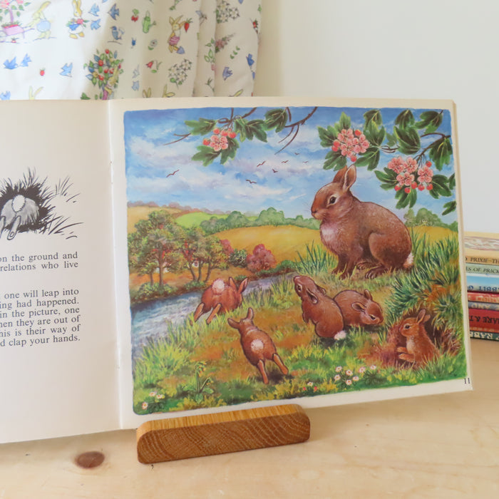VINTAGE book -  Let's Meet Some BabyAnimals (1972)