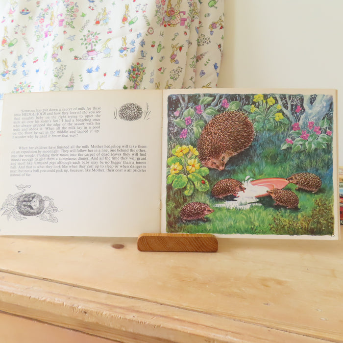 VINTAGE book -  Let's Meet Some BabyAnimals (1972)