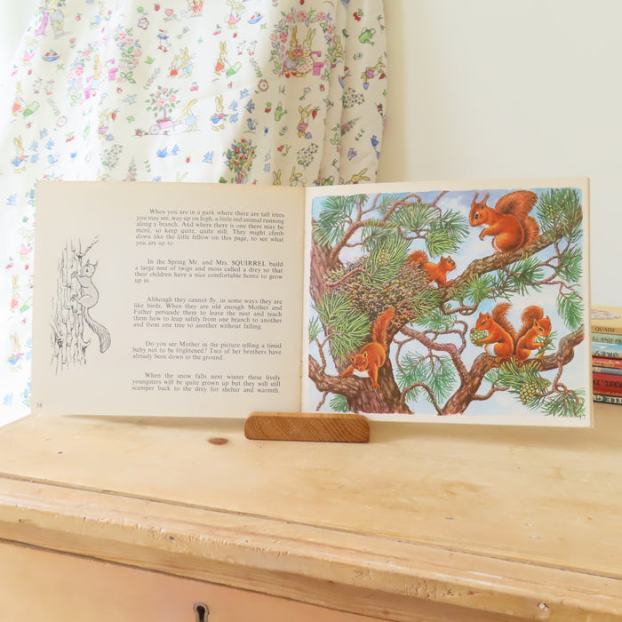 VINTAGE book -  Let's Meet Some BabyAnimals (1972)