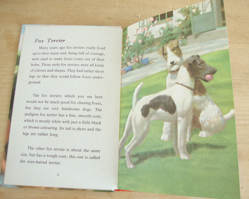 VINTAGE Ladybird -  Book of Pets (1967)