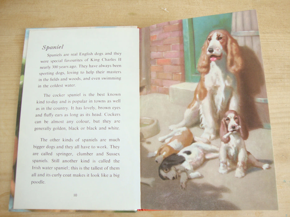 VINTAGE Ladybird -  Book of Pets (1967)