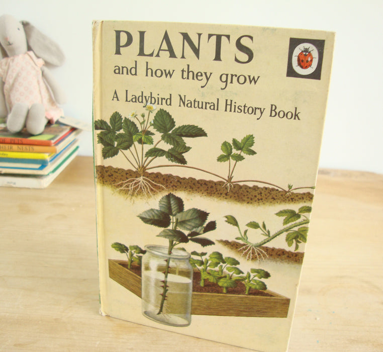 VINTAGE Ladybird -  Plants and how they Grow