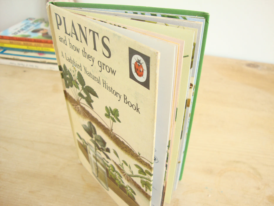 VINTAGE Ladybird -  Plants and how they Grow