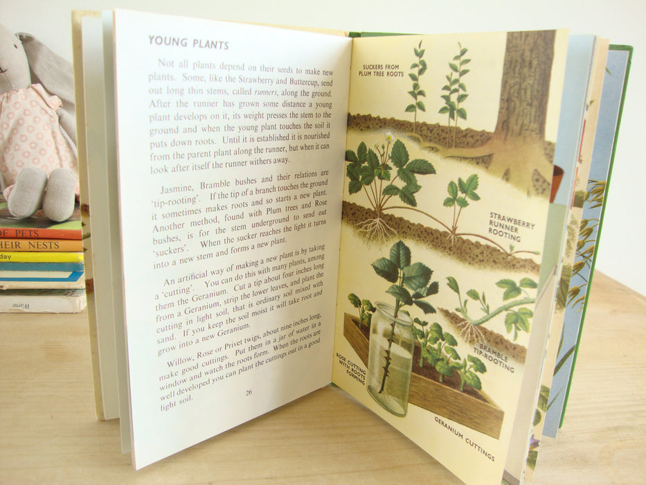 VINTAGE Ladybird -  Plants and how they Grow